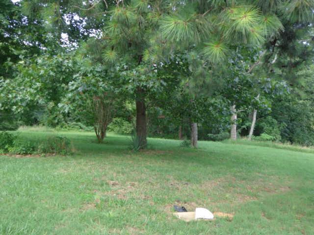 3370 Hill Town Road Santa Fe, TN 38482 - Photo 3 of 9 Gallery Image 3