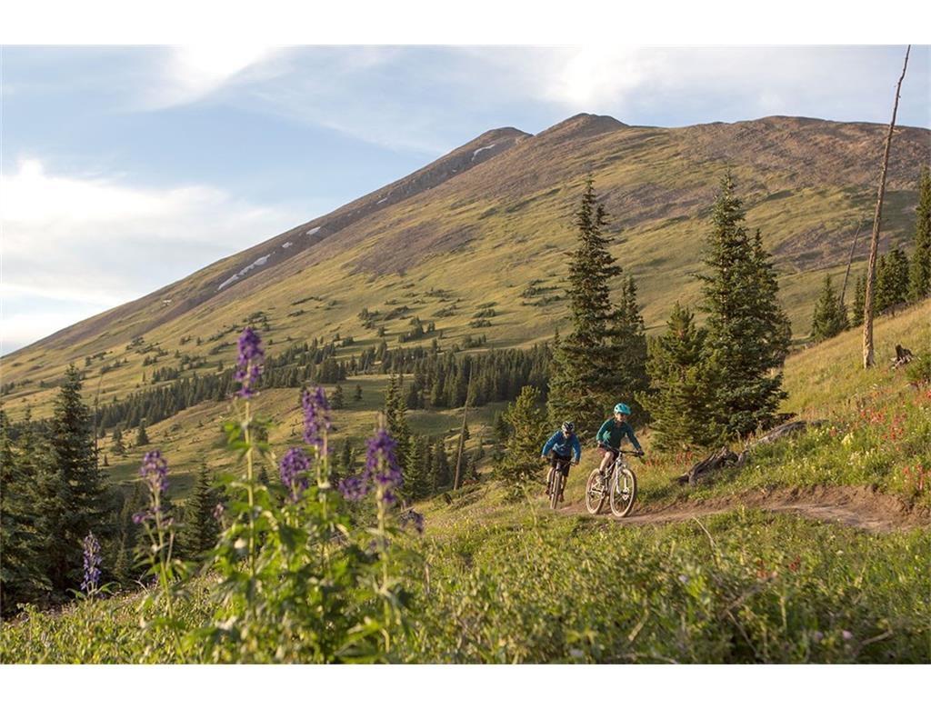 55 Brooks Snider Road Breckenridge, CO 80424 - Photo 30 of 35 a view of a large building