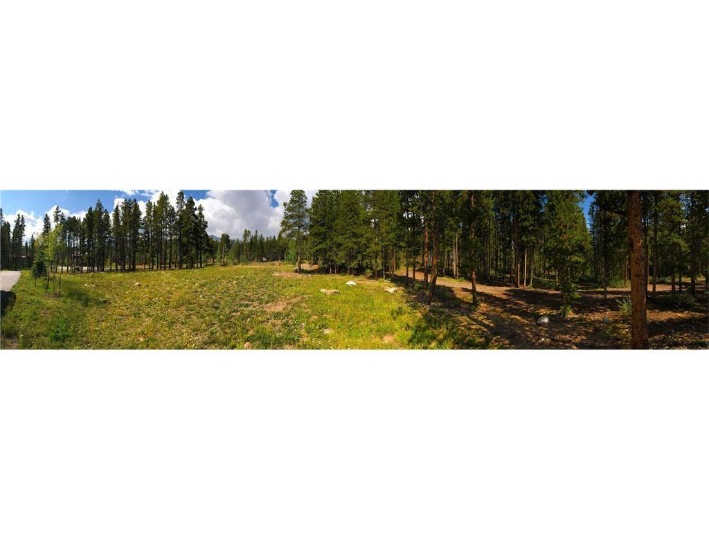 55 Brooks Snider Road Breckenridge, CO 80424 - Photo 31 of 35 a view of a grassy area