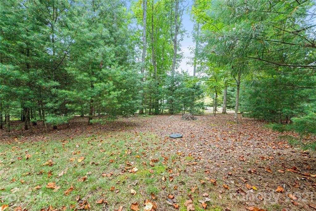 514 Morris Road Mills River, NC 28759 - Photo 33 of 34 Gallery Image 33
