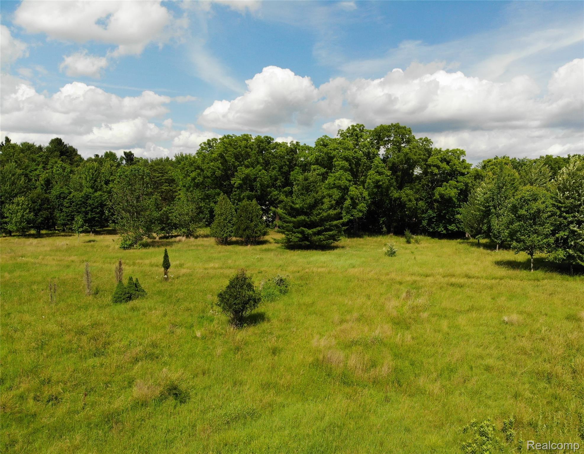 20918 Clark Road Belleville, MI 48111 - Photo 3 of 8 DJI_0298.JPG