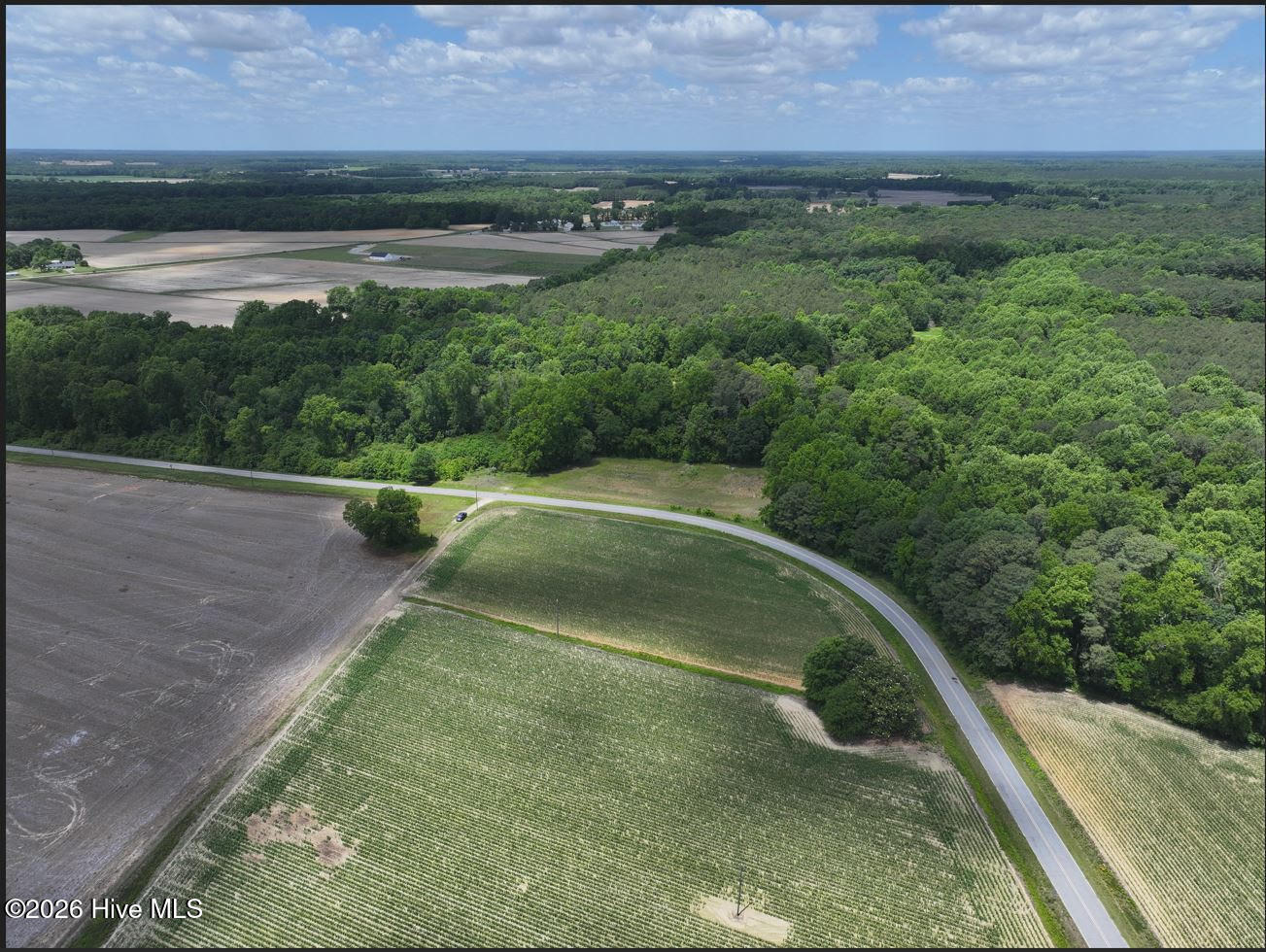 0 Rabbit Hollow Road Snow Hill, NC 28580 - Photo 10 of 16