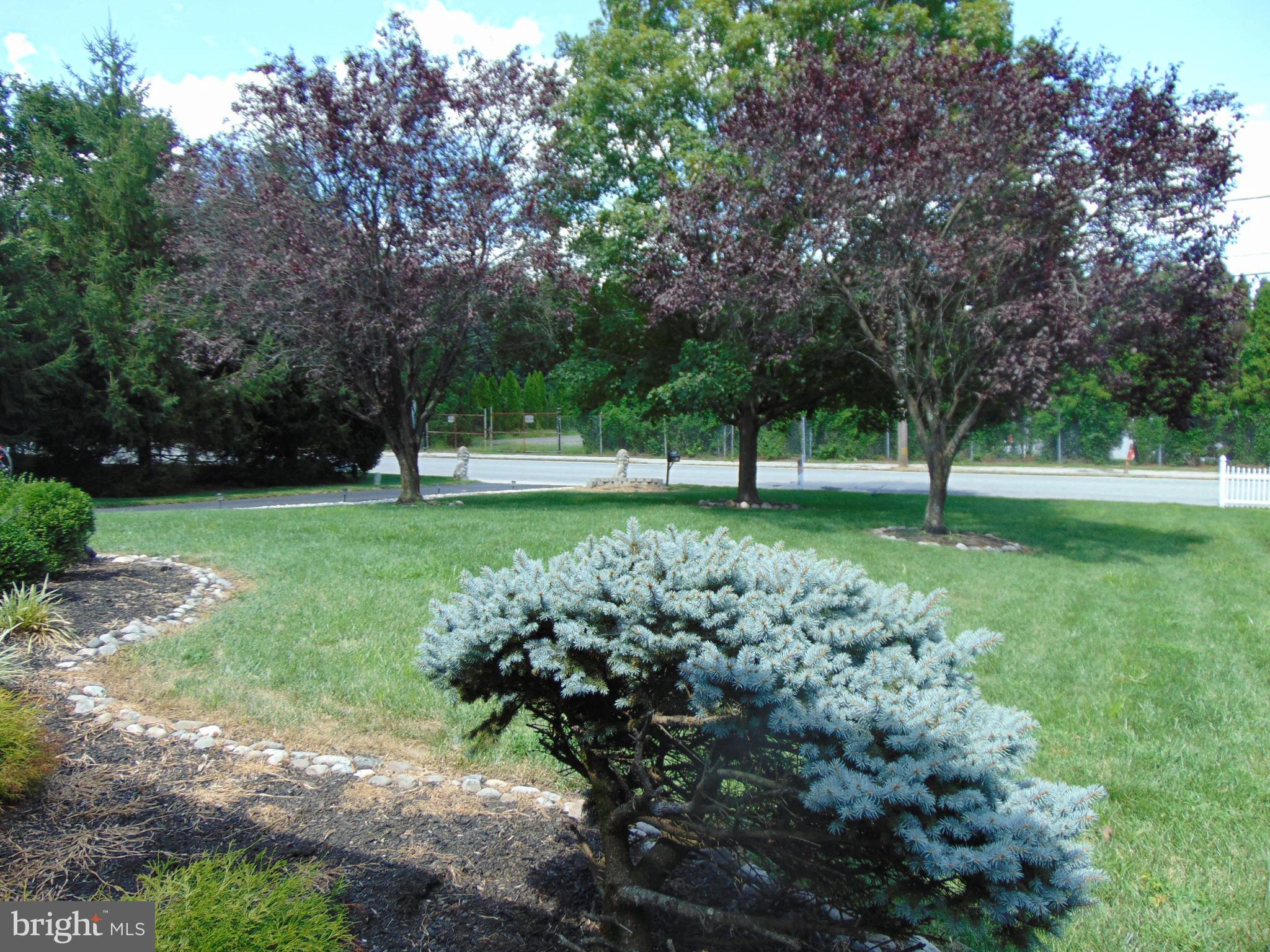 1176 Church Road Springfield, PA 19064 - Photo 26 of 37 Mature trees and plantings