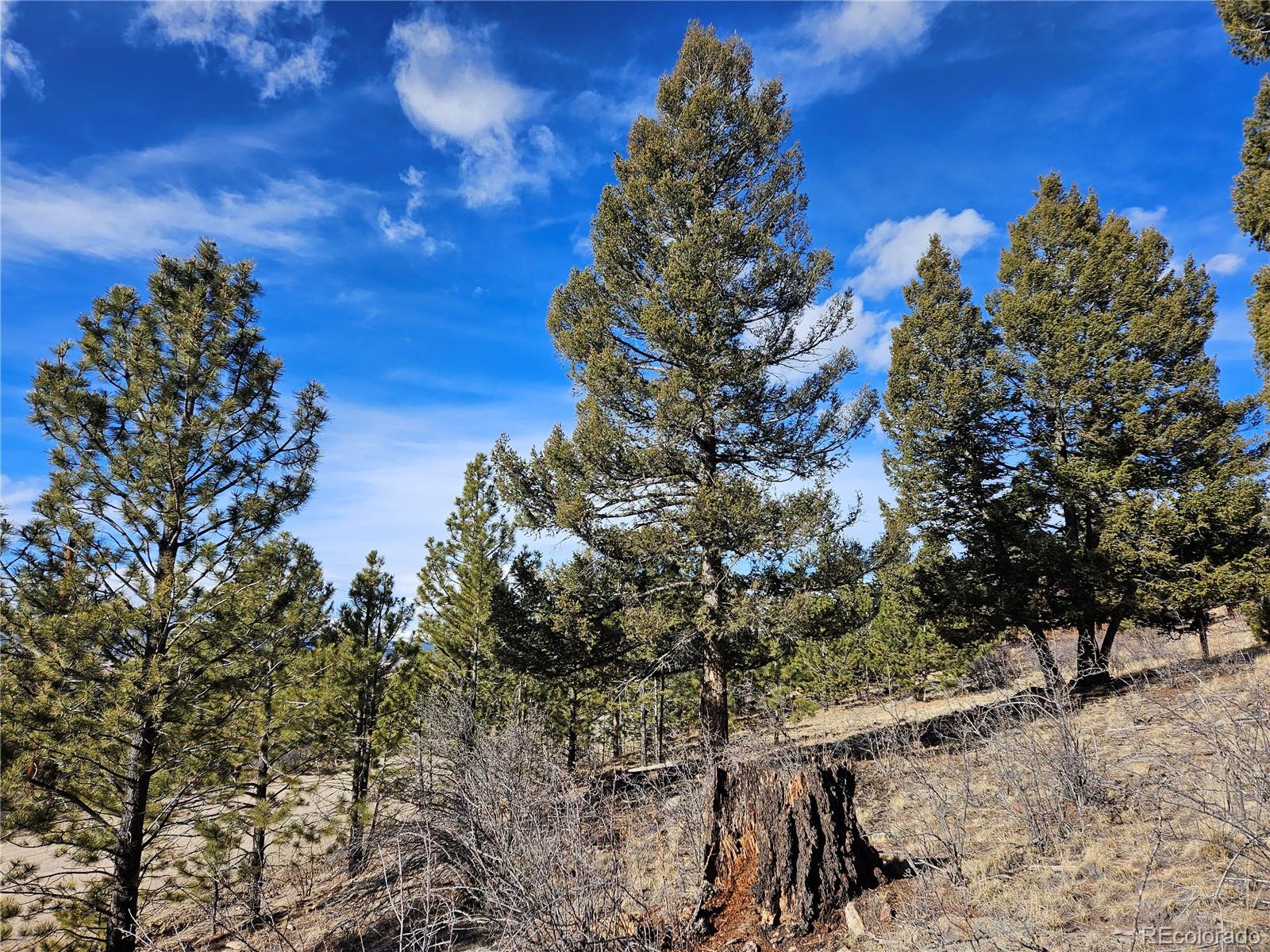 Bonell Drive Fairplay, CO 80440 - Photo 11 of 45