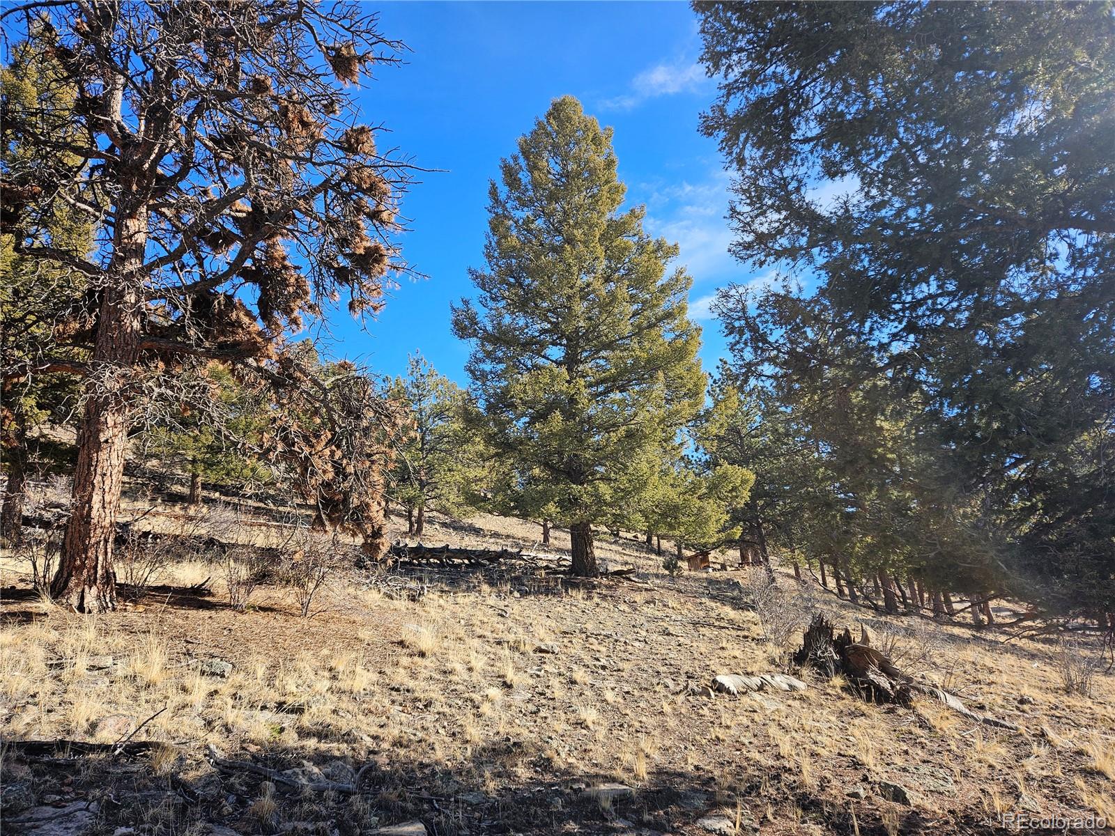 Bonell Drive Fairplay, CO 80440 - Photo 12 of 45