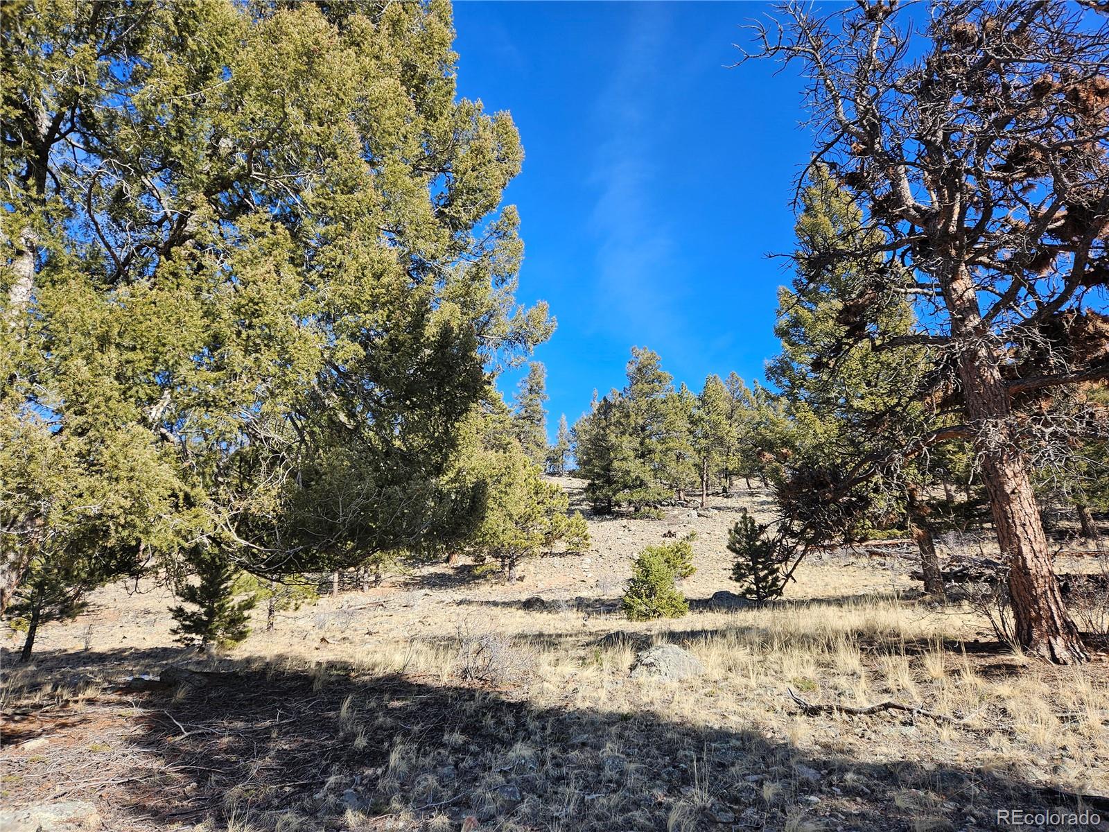 Bonell Drive Fairplay, CO 80440 - Photo 13 of 45