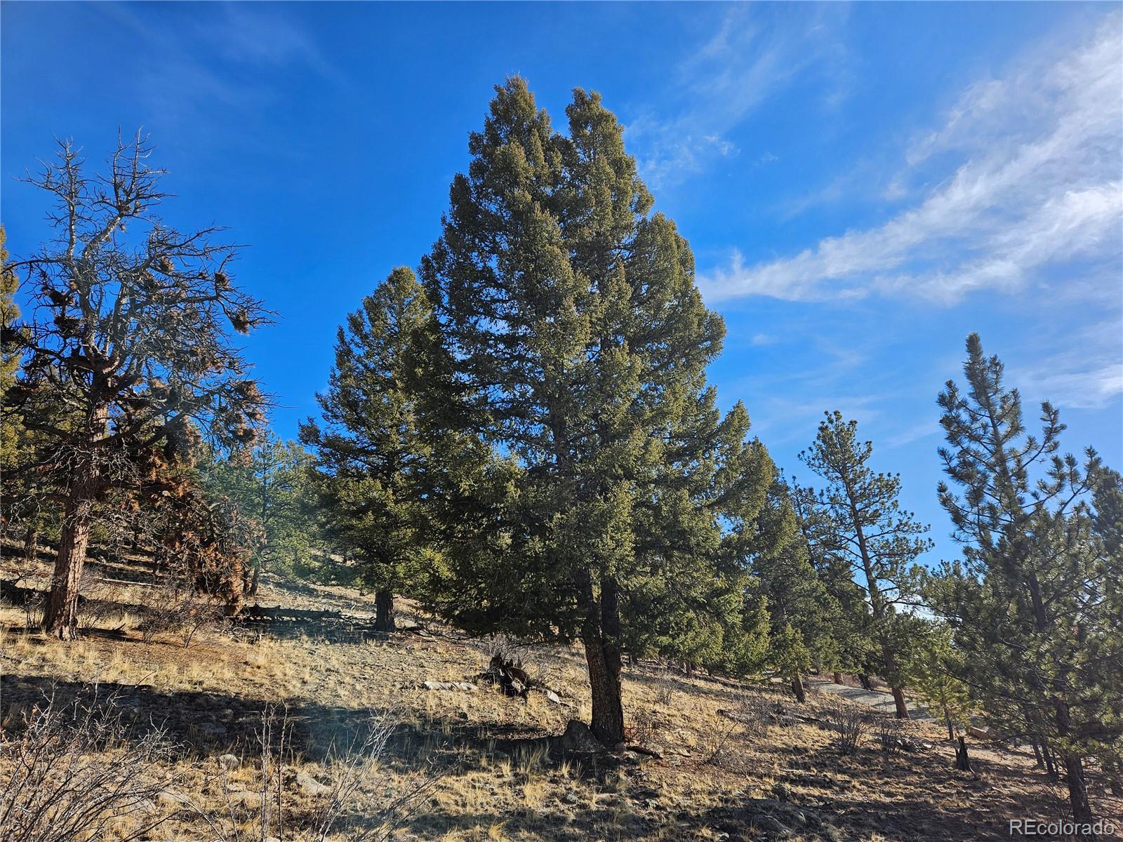 Bonell Drive Fairplay, CO 80440 - Photo 14 of 45