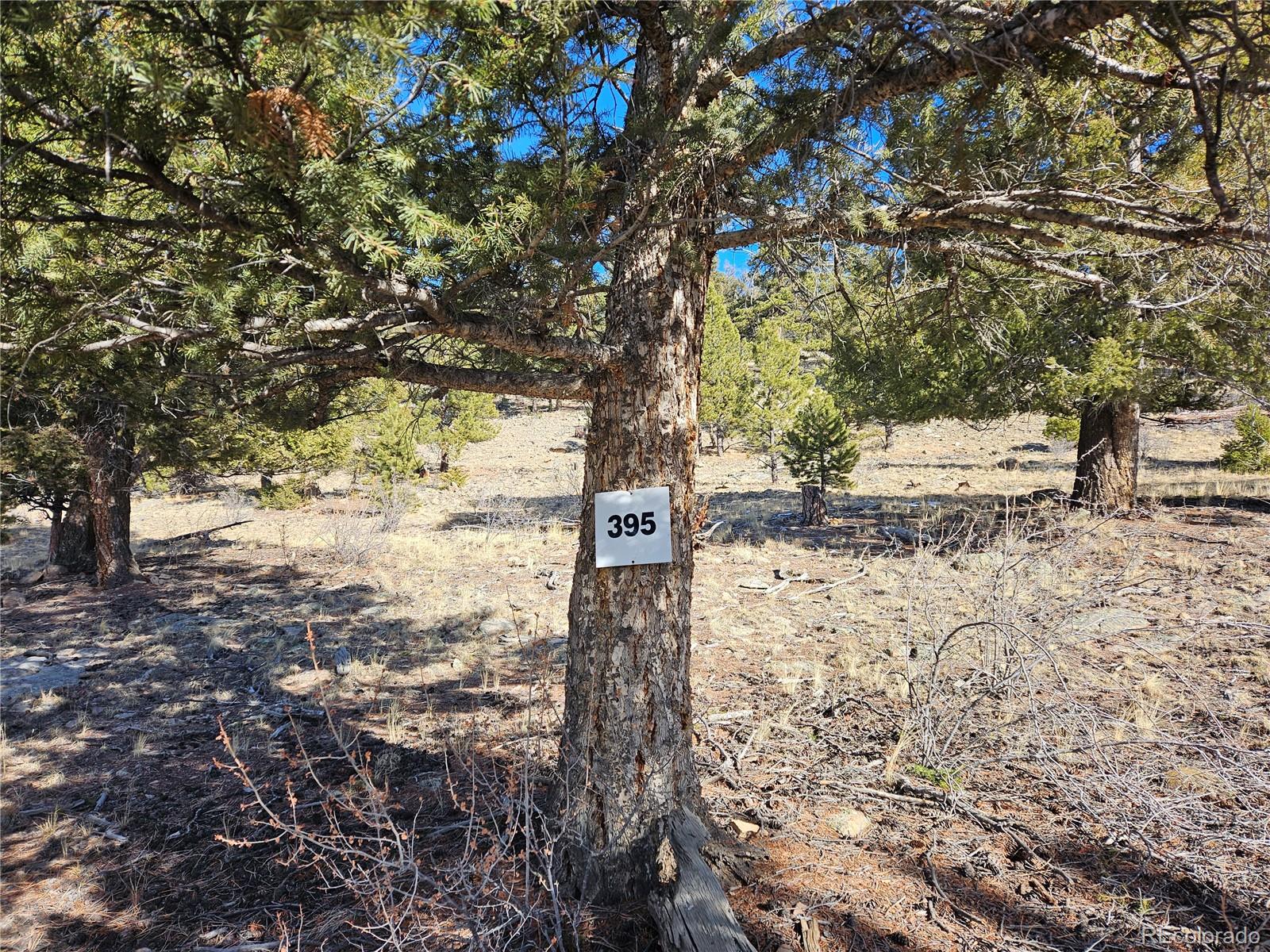 Bonell Drive Fairplay, CO 80440 - Photo 15 of 45