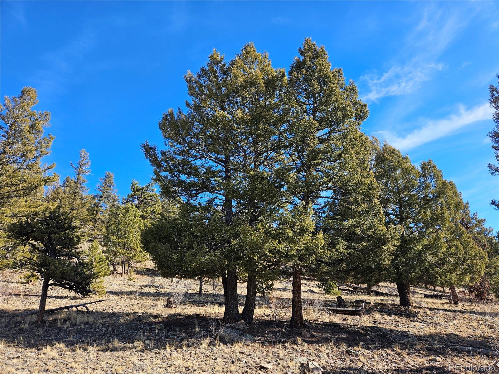 Bonell Drive Fairplay, CO 80440 - Photo 16 of 45