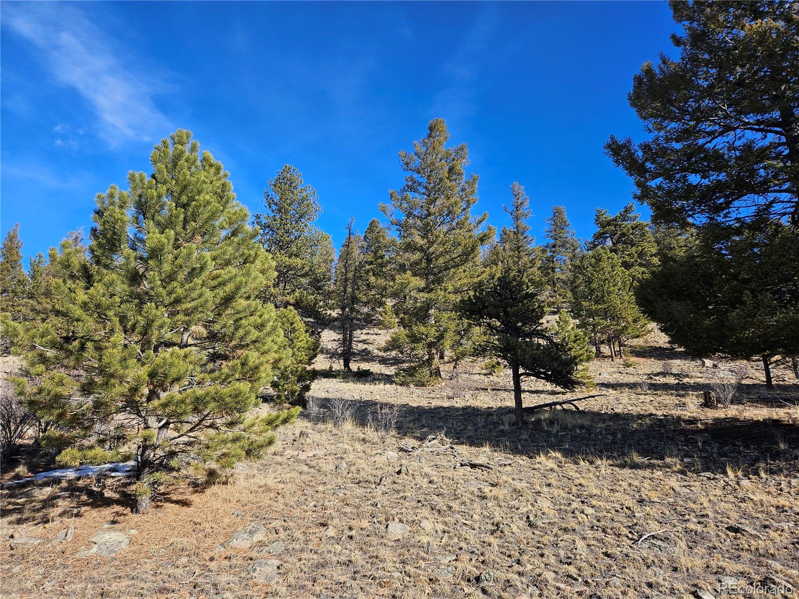 Bonell Drive Fairplay, CO 80440 - Photo 17 of 45