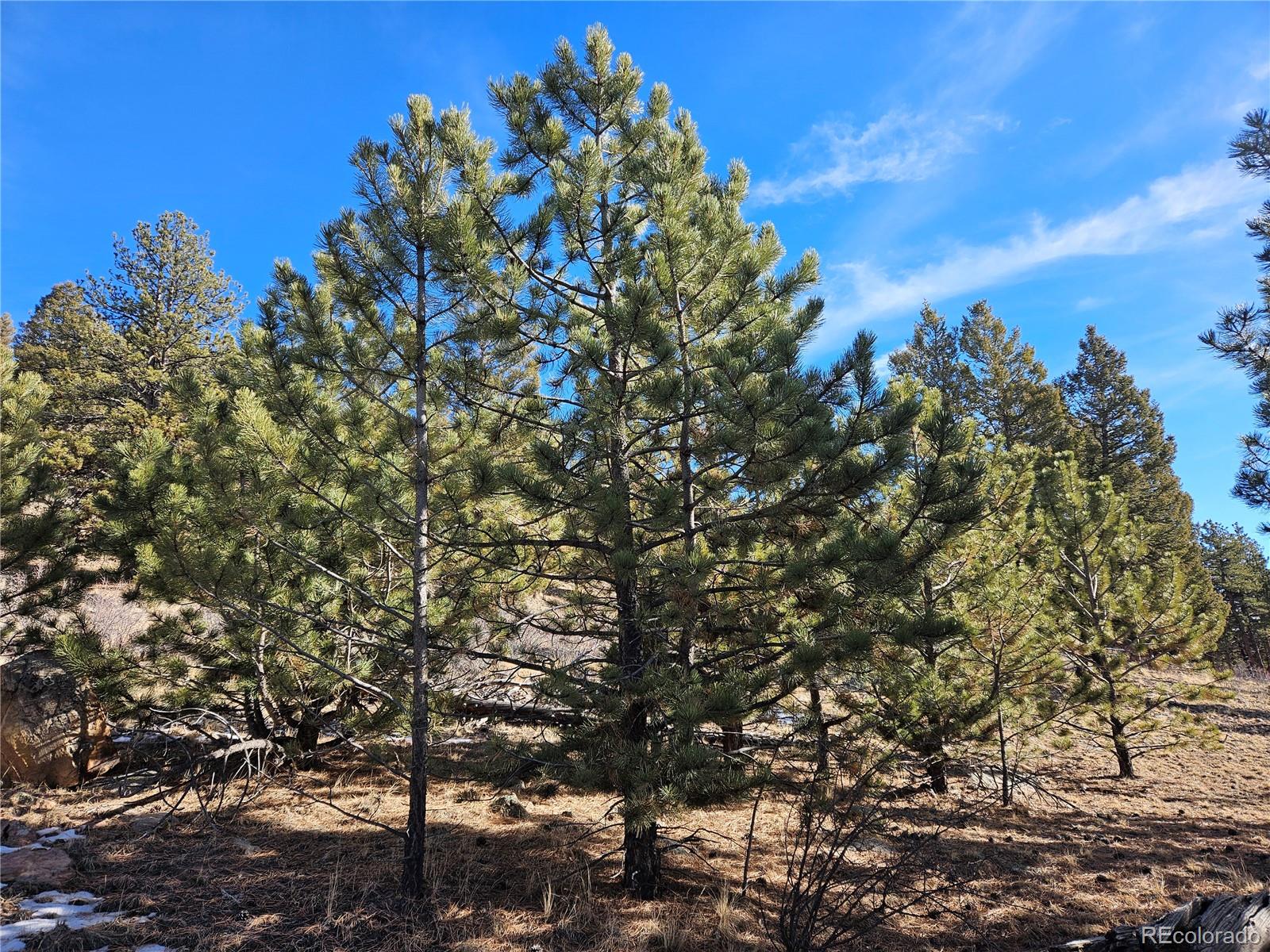 Bonell Drive Fairplay, CO 80440 - Photo 18 of 45