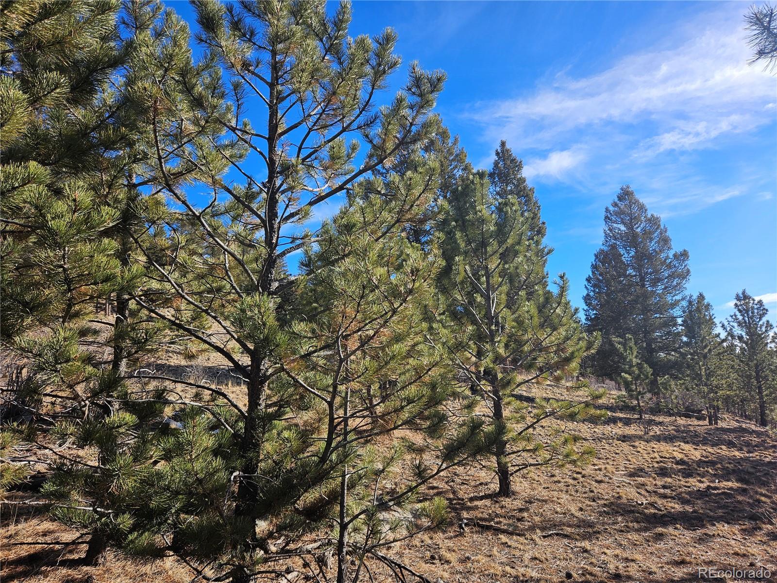 Bonell Drive Fairplay, CO 80440 - Photo 19 of 45