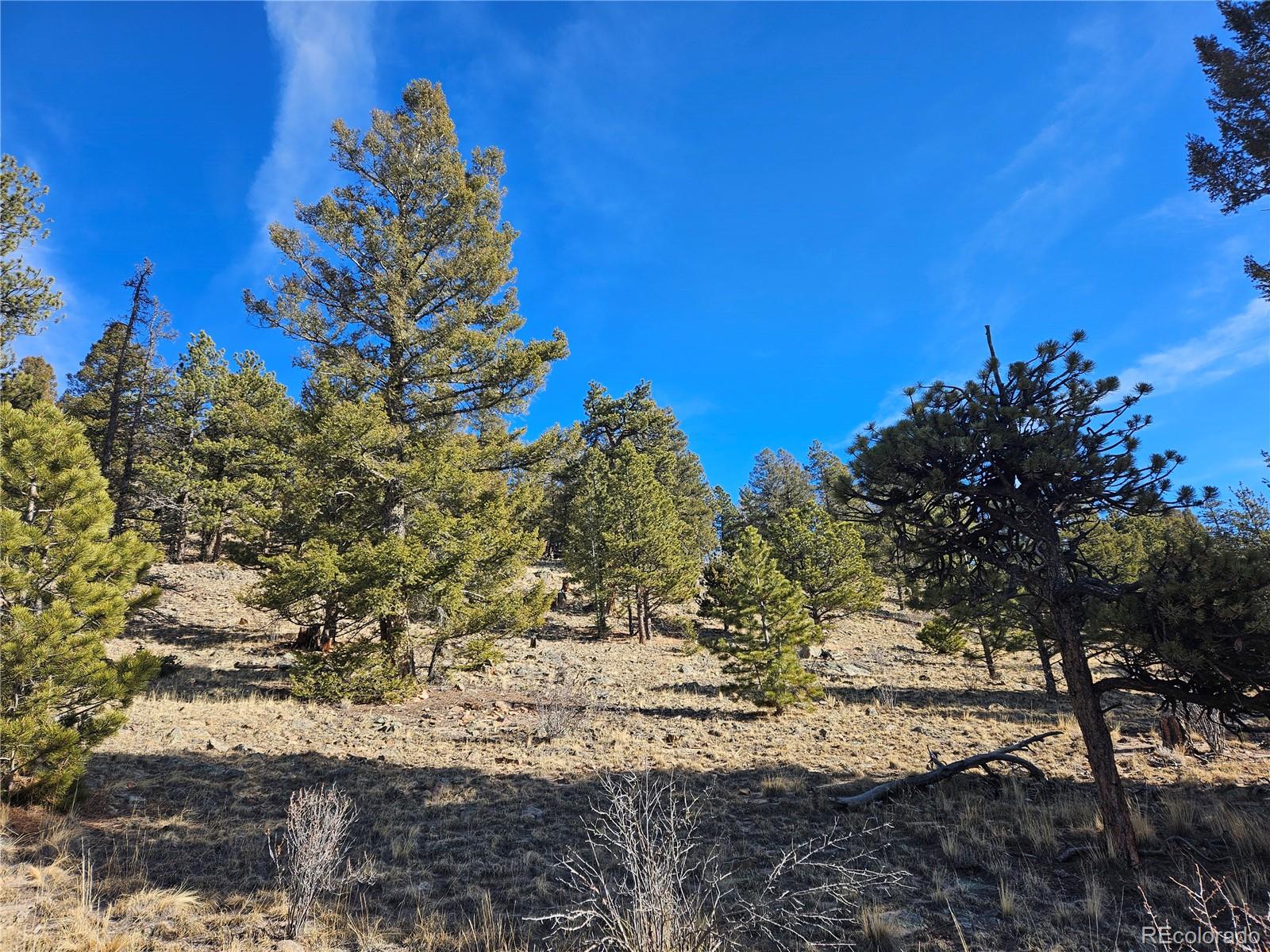 Bonell Drive Fairplay, CO 80440 - Photo 21 of 45