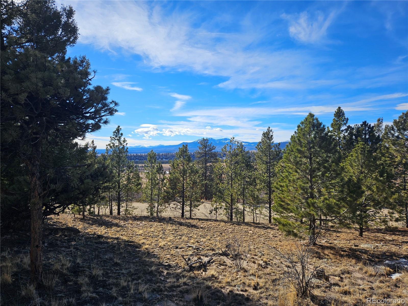 Bonell Drive Fairplay, CO 80440 - Photo 23 of 45