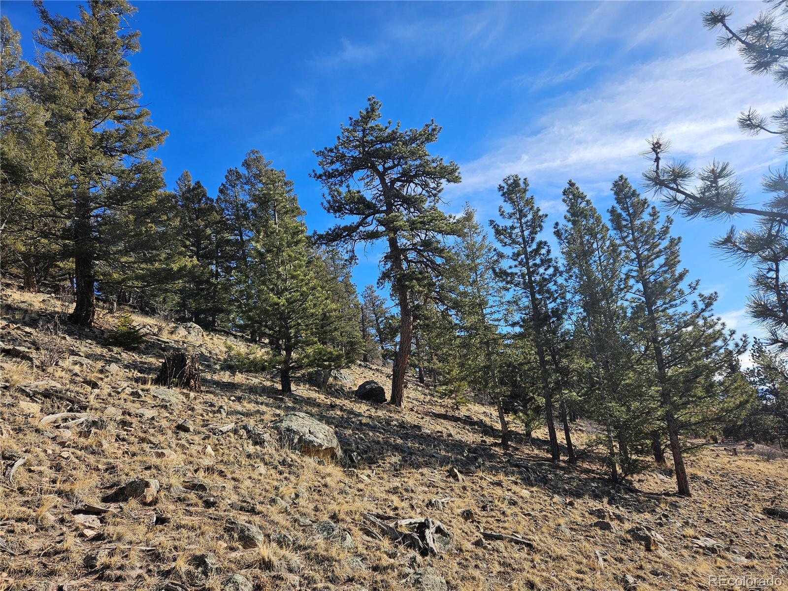 Bonell Drive Fairplay, CO 80440 - Photo 26 of 45