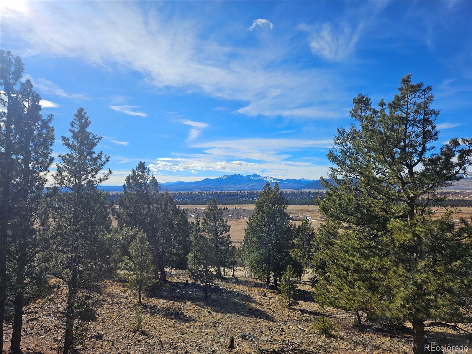 Bonell Drive Fairplay, CO 80440 - Photo 27 of 45