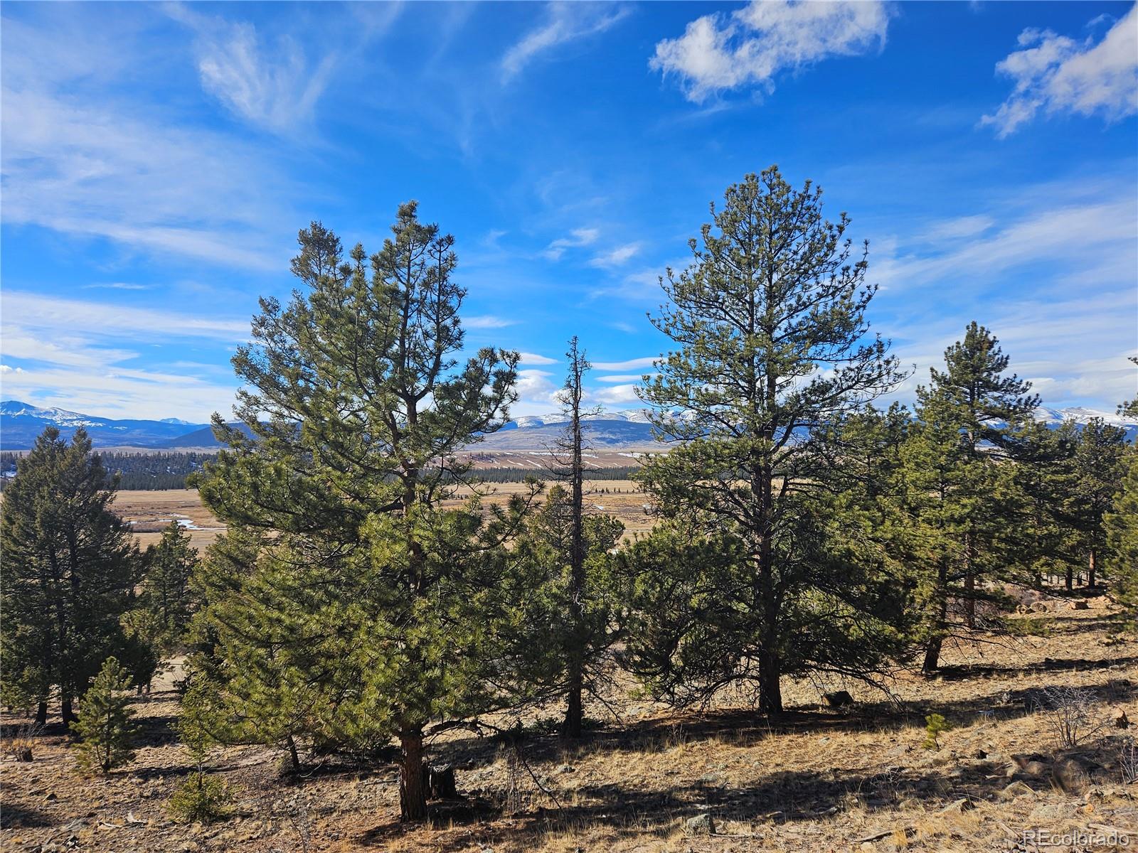 Bonell Drive Fairplay, CO 80440 - Photo 28 of 45