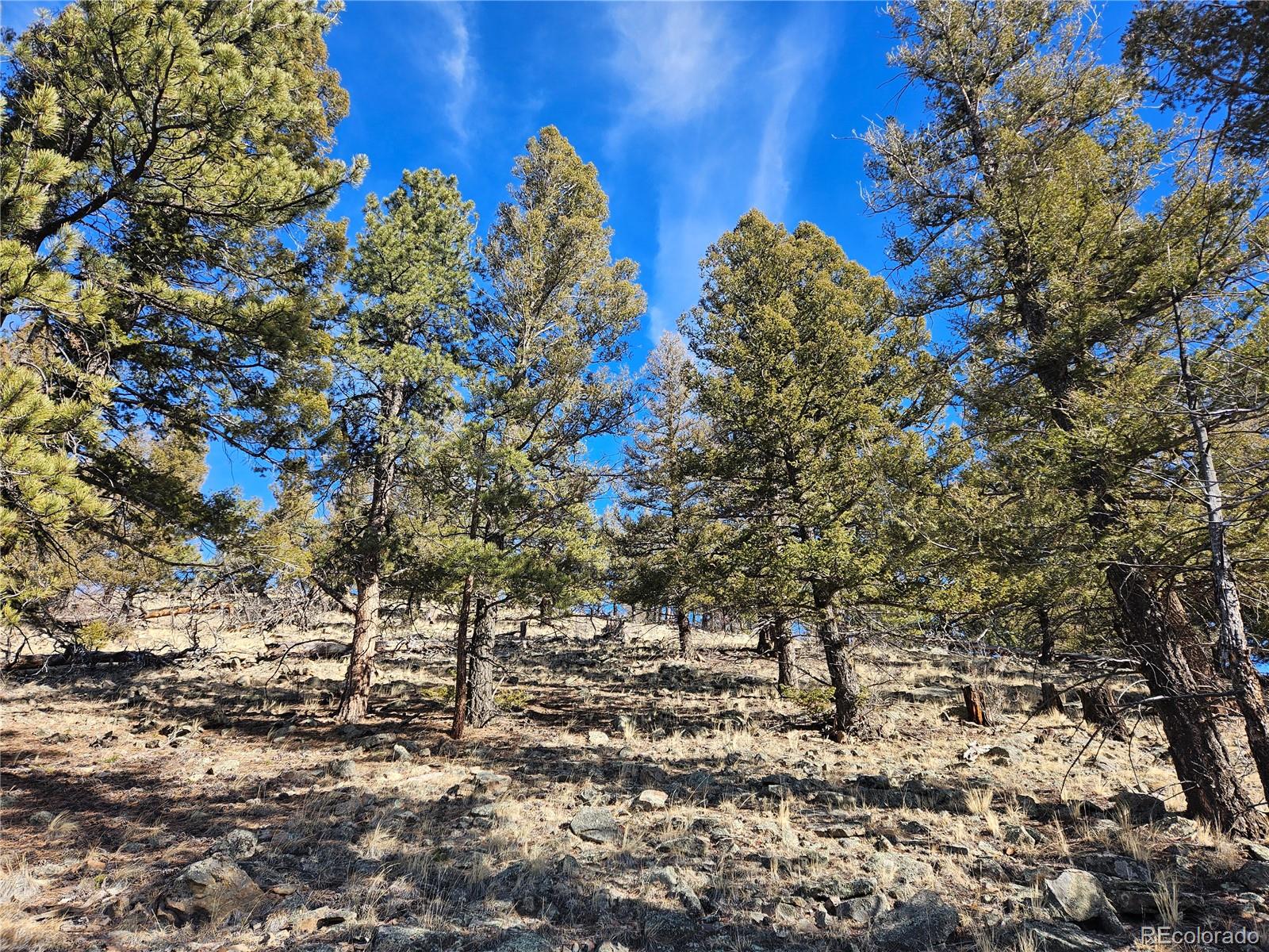 Bonell Drive Fairplay, CO 80440 - Photo 29 of 45