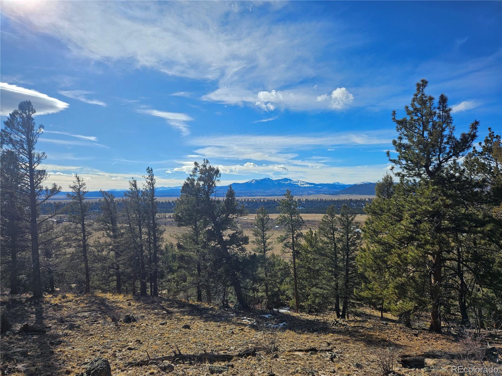 Bonell Drive Fairplay, CO 80440 - Photo 30 of 45