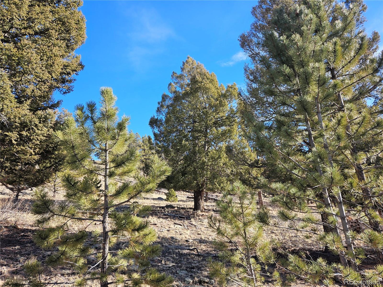 Bonell Drive Fairplay, CO 80440 - Photo 3 of 45