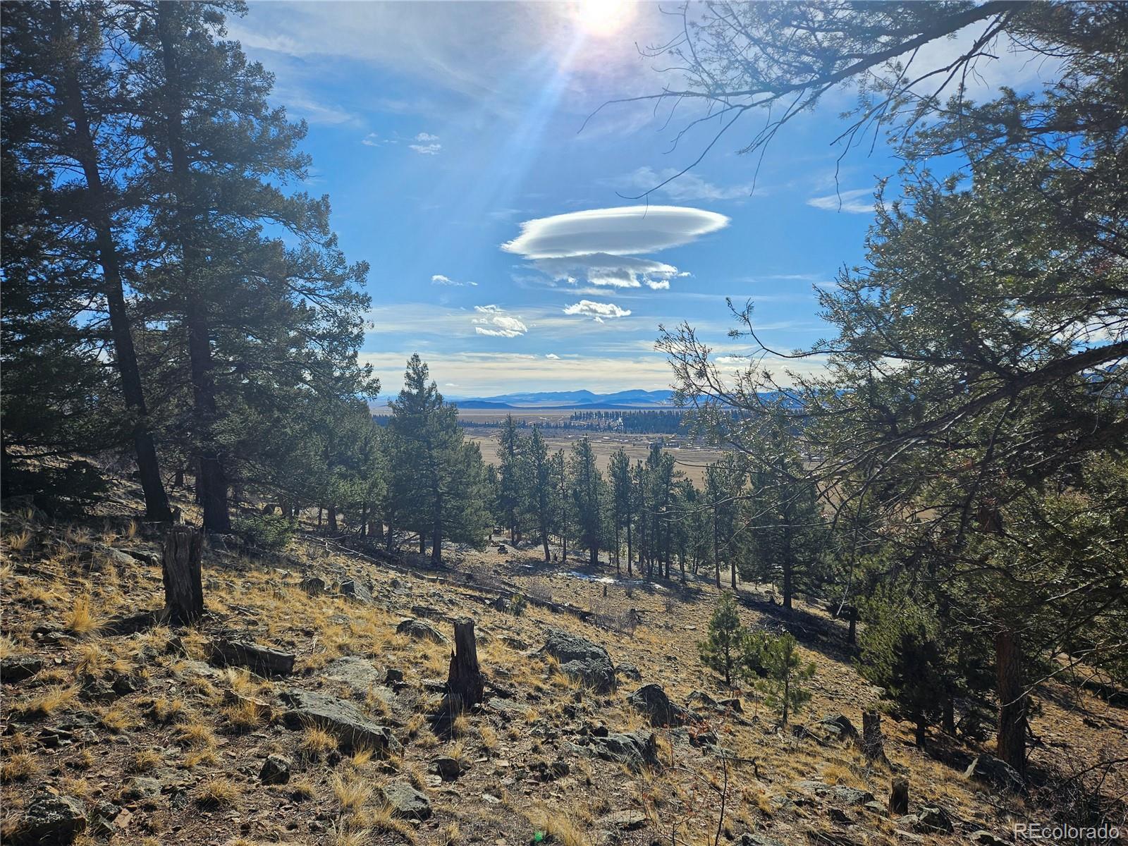 Bonell Drive Fairplay, CO 80440 - Photo 31 of 45