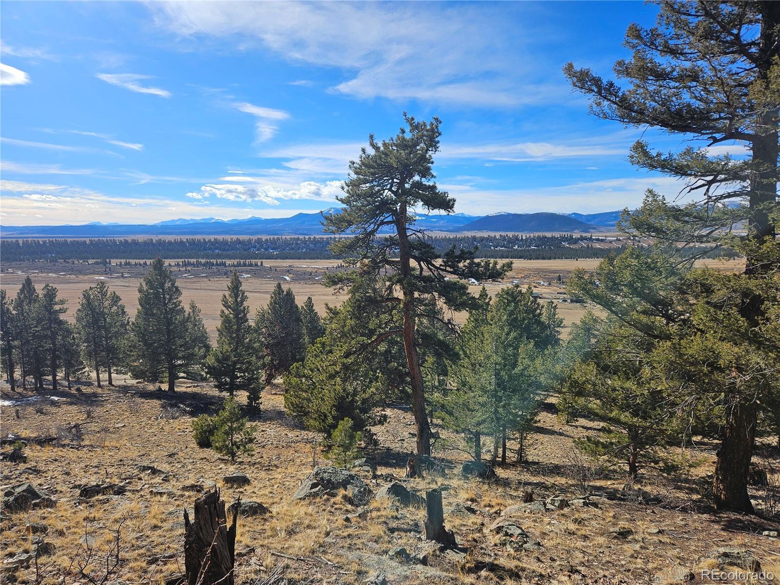 Bonell Drive Fairplay, CO 80440 - Photo 32 of 45