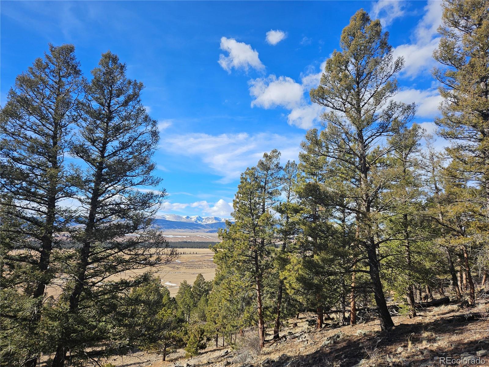 Bonell Drive Fairplay, CO 80440 - Photo 37 of 45