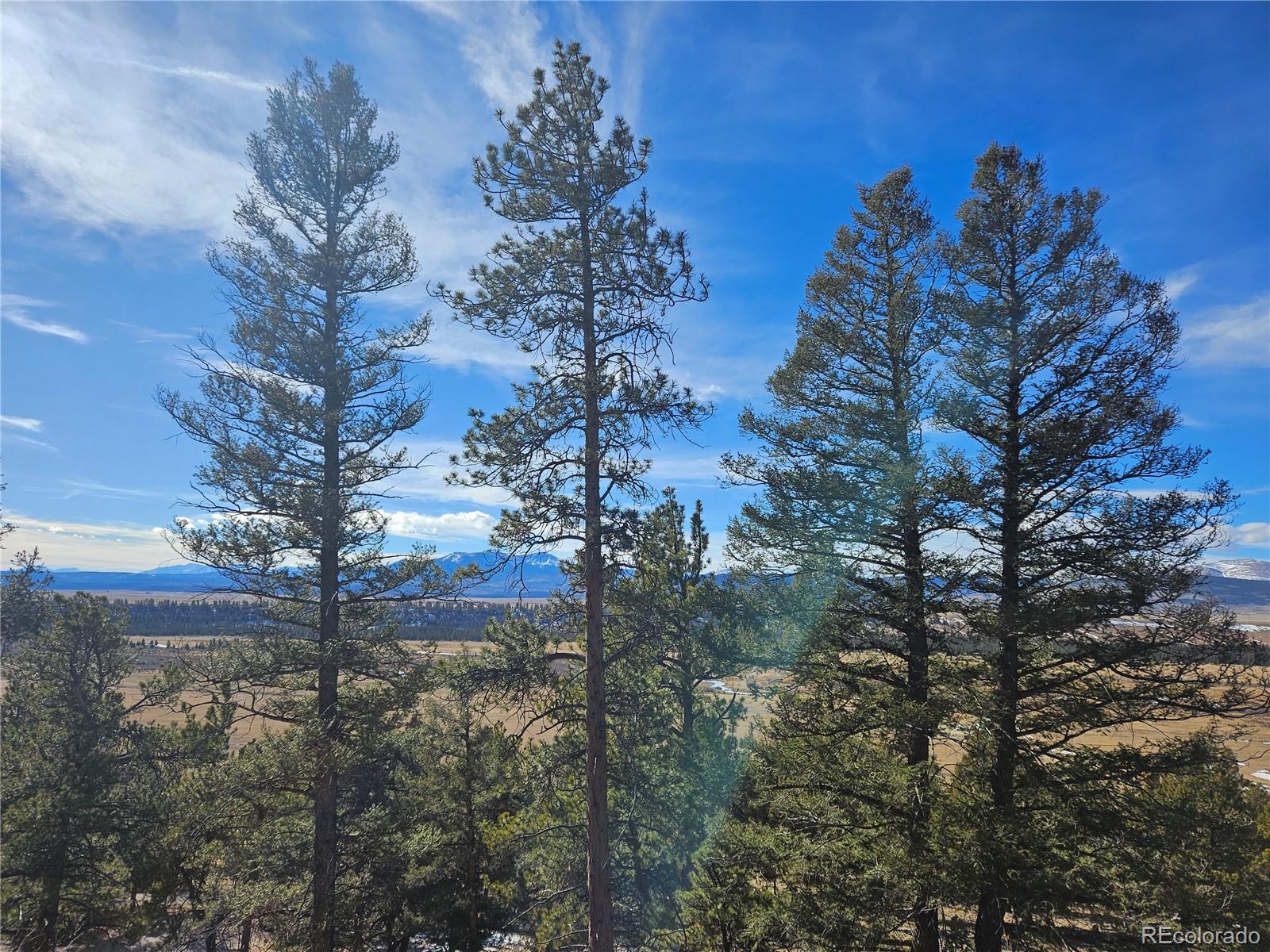 Bonell Drive Fairplay, CO 80440 - Photo 38 of 45