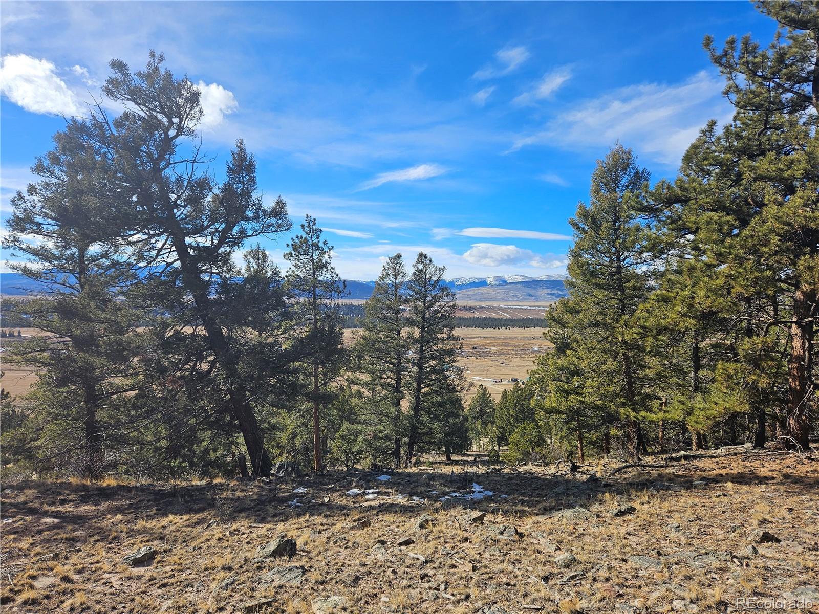 Bonell Drive Fairplay, CO 80440 - Photo 39 of 45