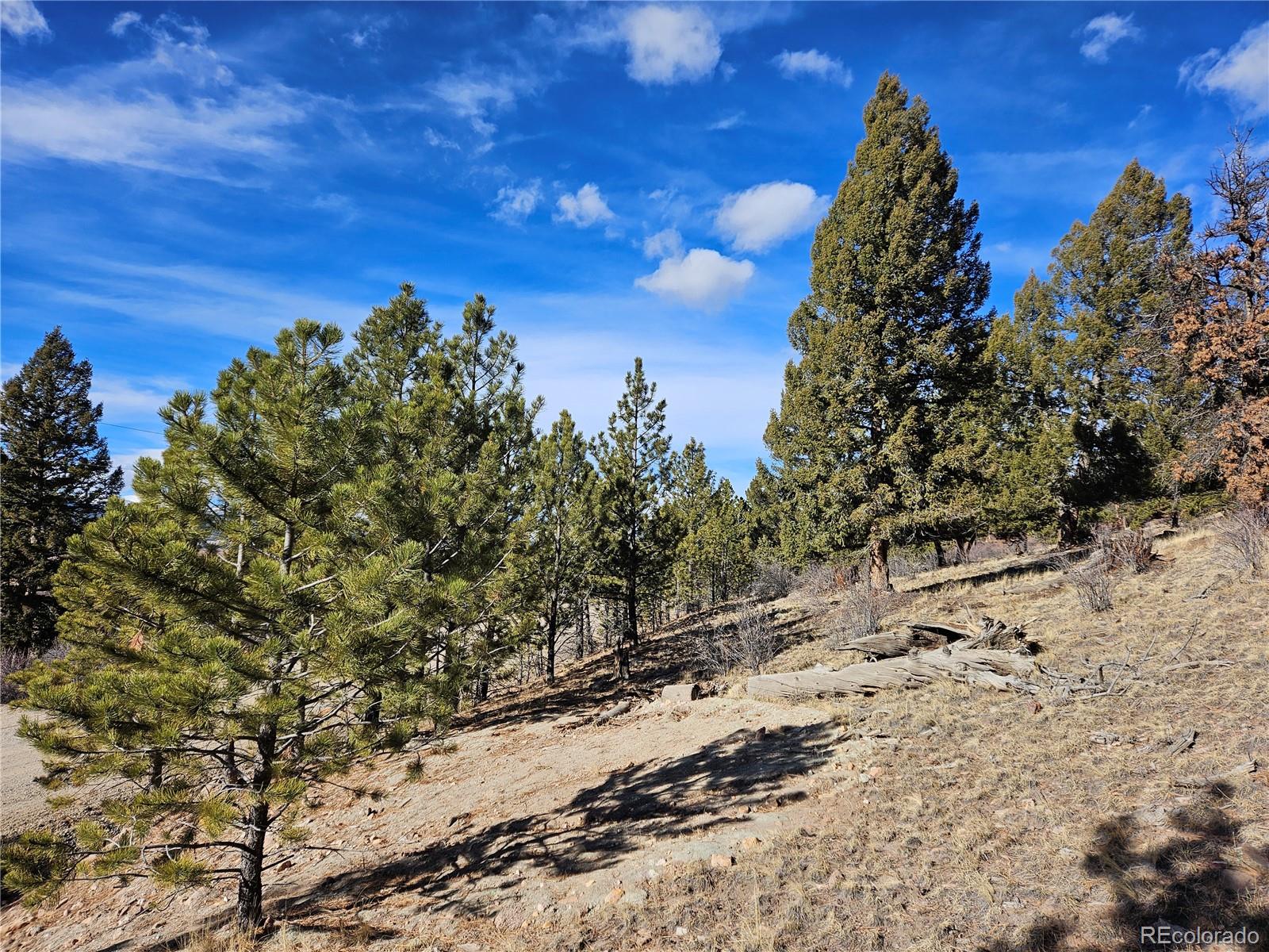 Bonell Drive Fairplay, CO 80440 - Photo 40 of 45