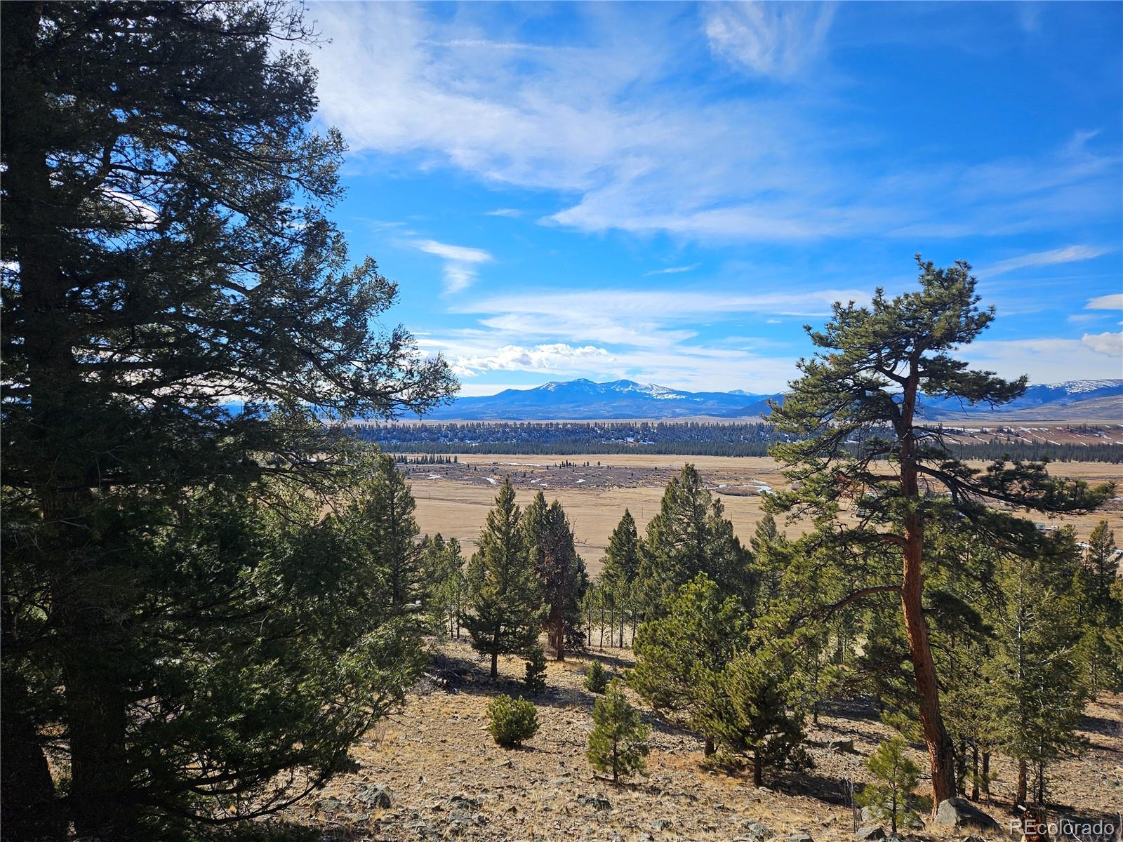 Bonell Drive Fairplay, CO 80440 - Photo 4 of 45