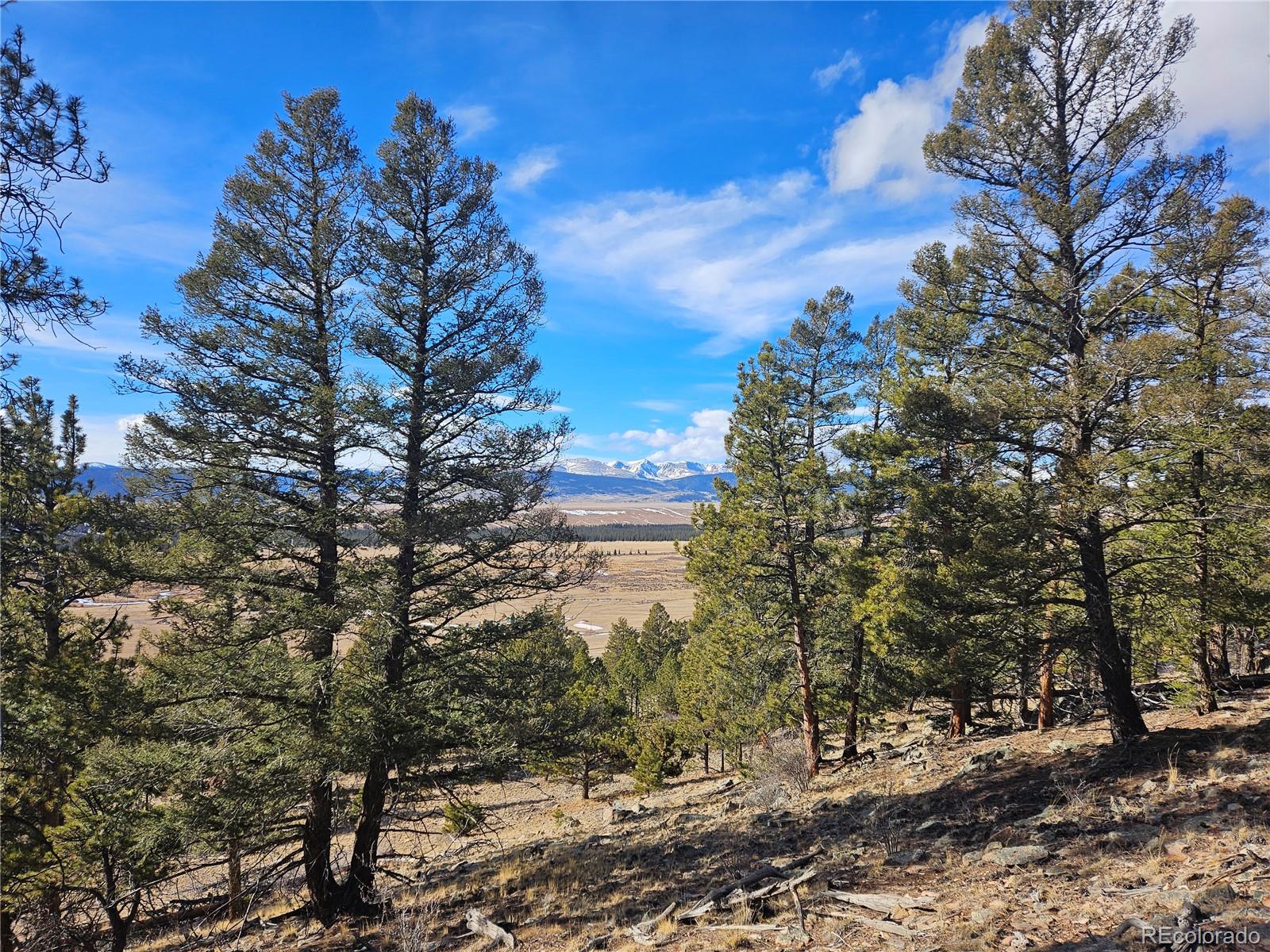 Bonell Drive Fairplay, CO 80440 - Photo 41 of 45