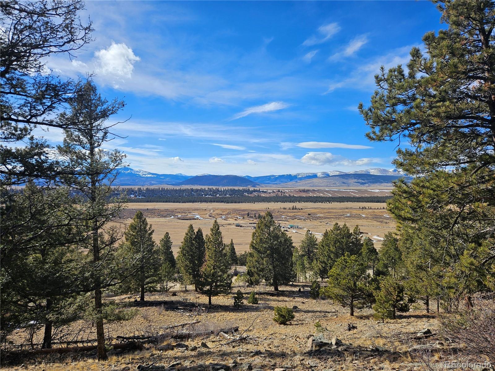 Bonell Drive Fairplay, CO 80440 - Photo 42 of 45