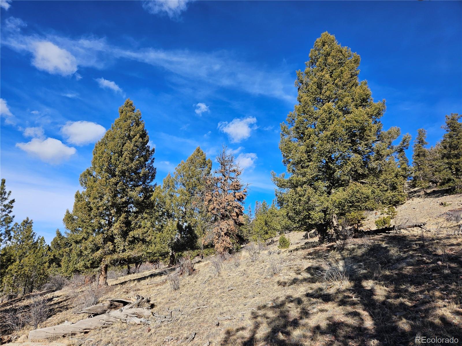 Bonell Drive Fairplay, CO 80440 - Photo 5 of 45