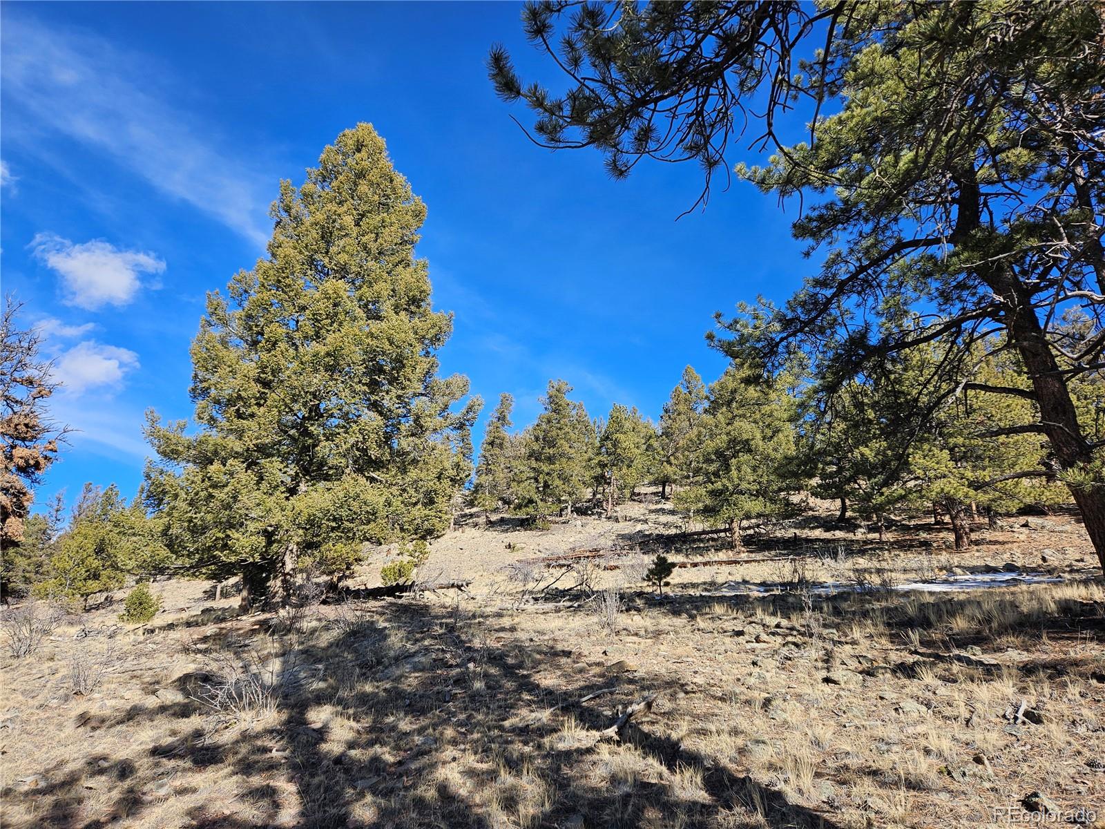 Bonell Drive Fairplay, CO 80440 - Photo 6 of 45