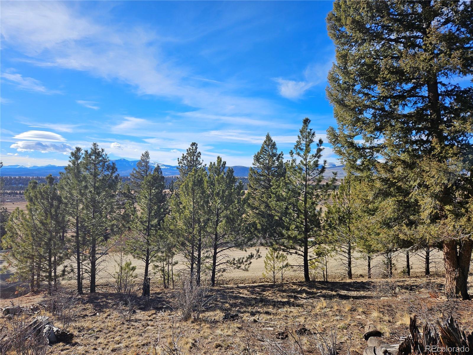 Bonell Drive Fairplay, CO 80440 - Photo 8 of 45