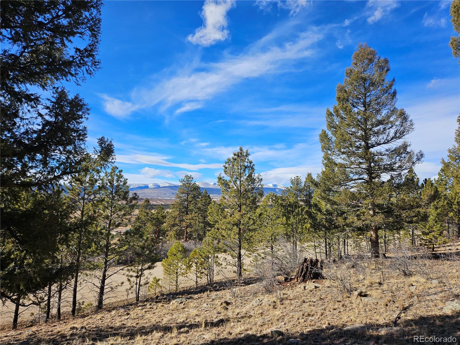 Bonell Drive Fairplay, CO 80440 - Photo 10 of 45