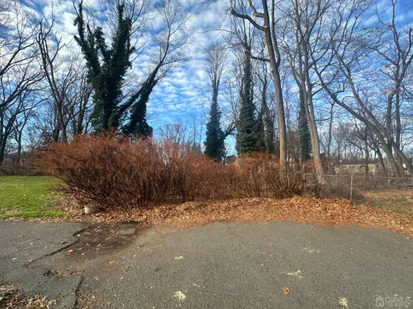 a view of backyard space and trees