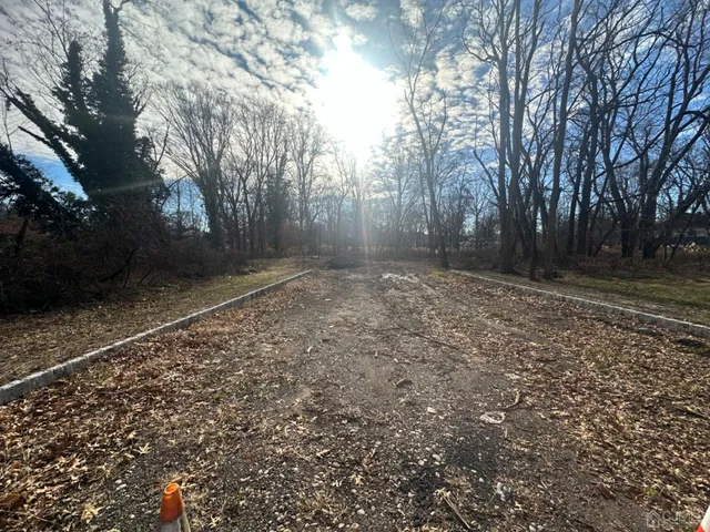 a view of a yard with trees