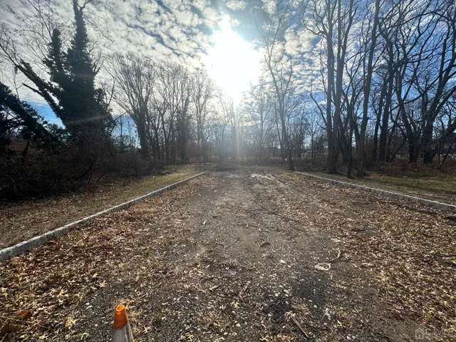 a view of a yard with trees