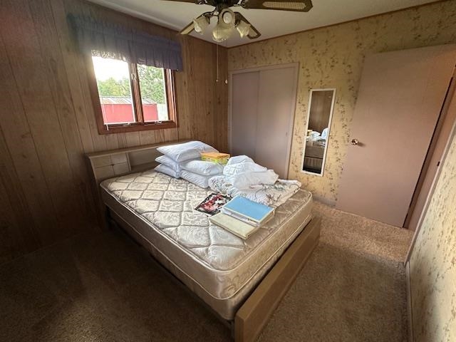 30 Fir Circle Babbitt, MN 55706 - Photo 16 of 27 Carpeted bedroom with a closet and ceiling fan