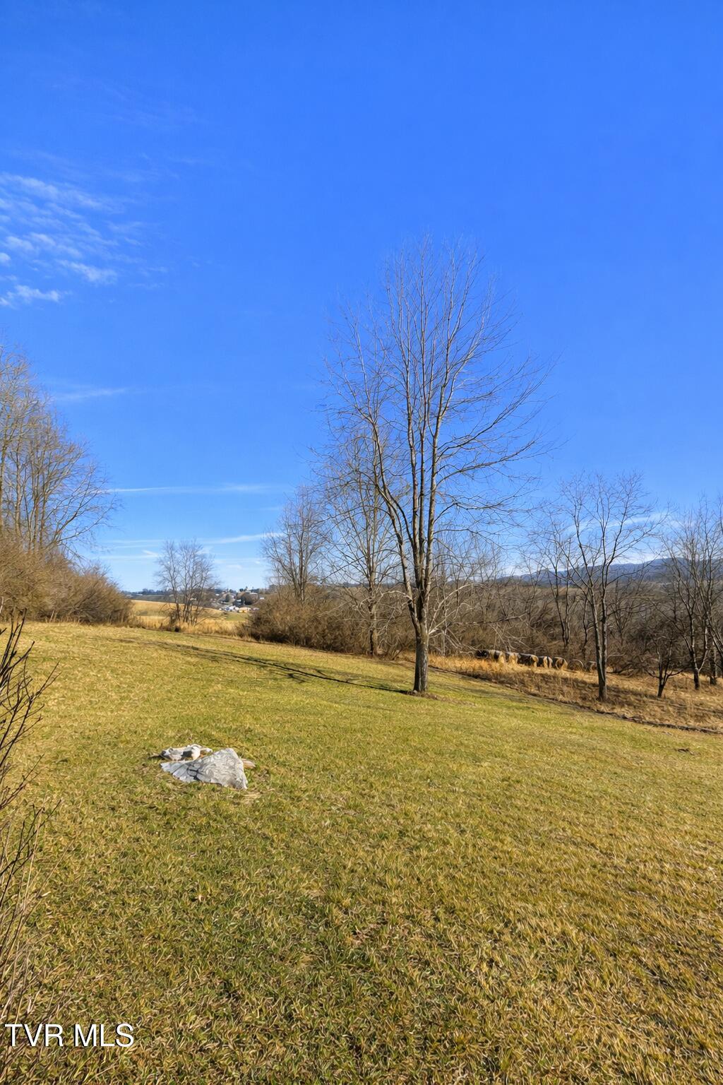 36091 Glove Drive Glade Spring, VA 24340 - Photo 11 of 70 1000012263