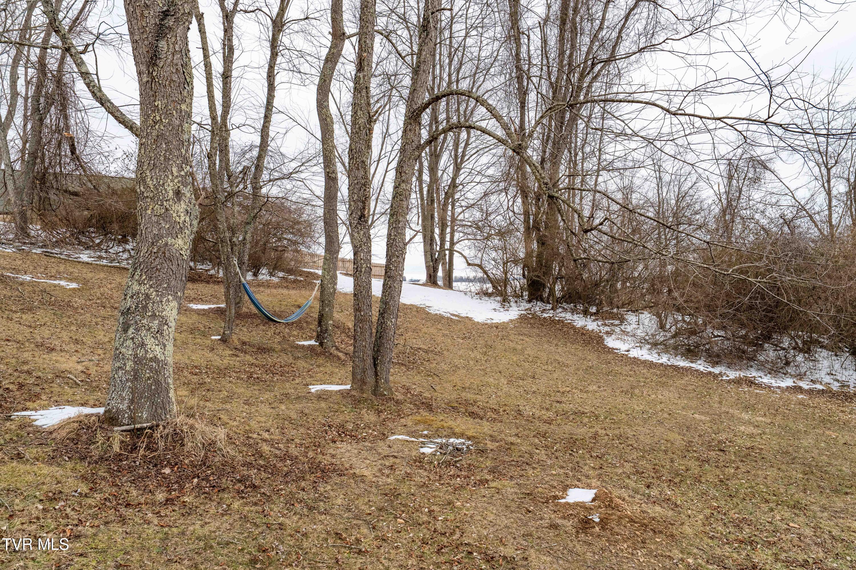 36091 Glove Drive Glade Spring, VA 24340 - Photo 66 of 70 36091 Glove Dr (66 of 70)