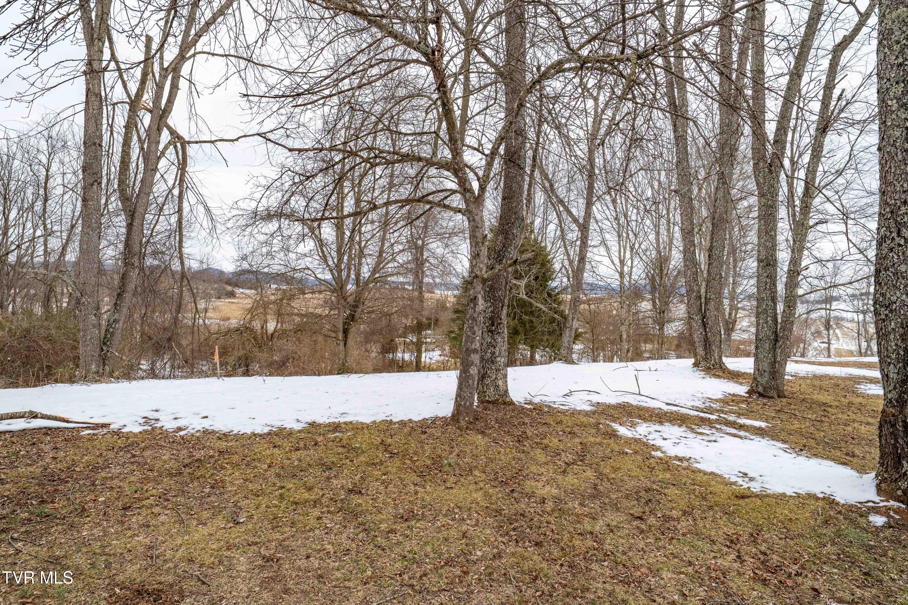 36091 Glove Drive Glade Spring, VA 24340 - Photo 67 of 70 36091 Glove Dr (67 of 70)