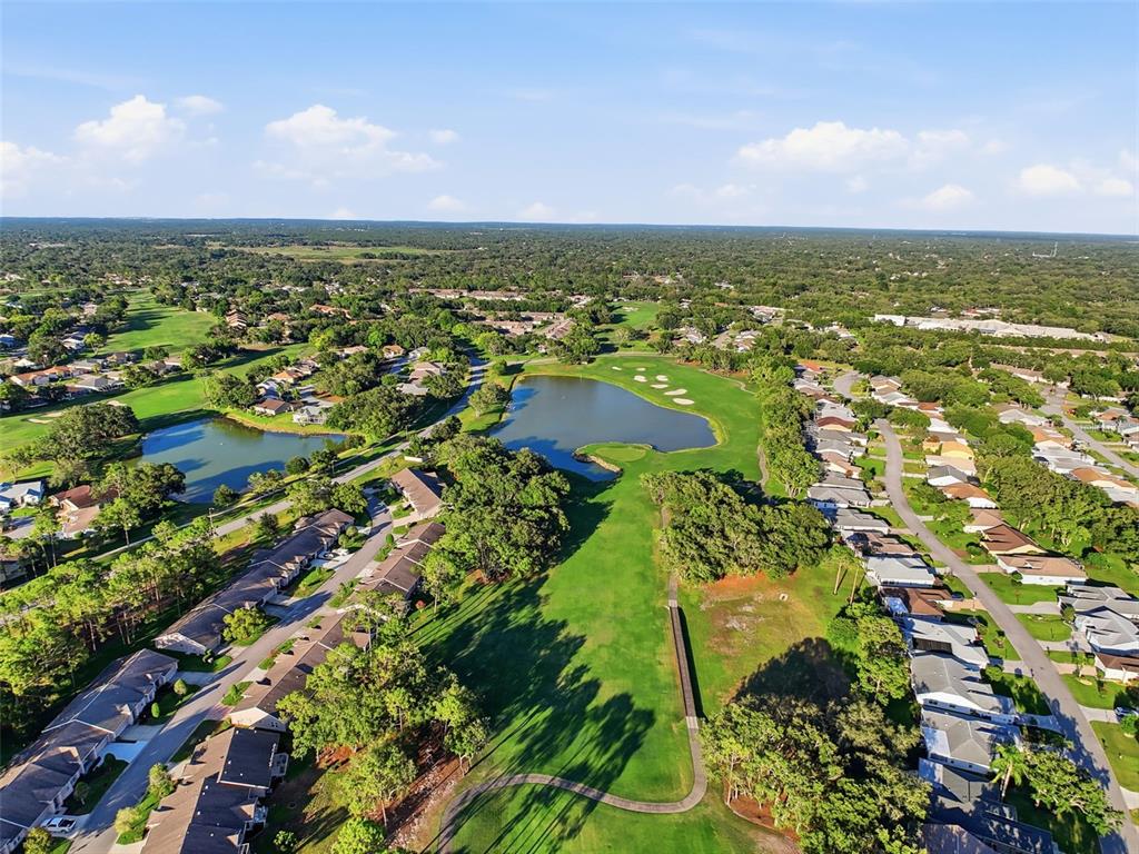 7442 Woodhollow Road Spring Hill, FL 34606 - Photo 54 of 55