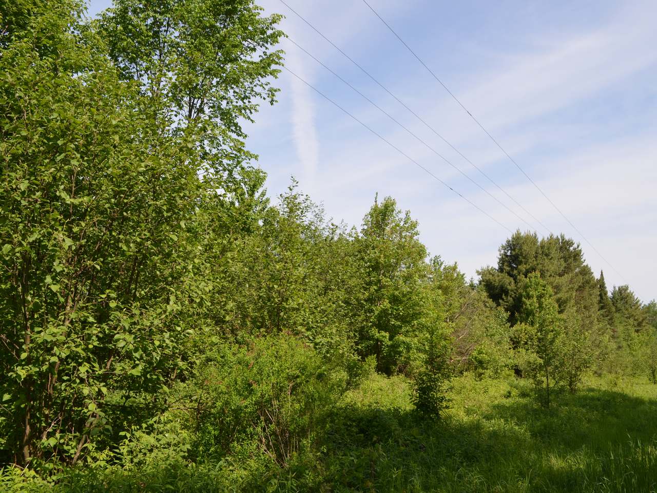 On Ogema-Prentice Road Ogema, WI 54459 - Photo 8 of 20 Gallery Image 8
