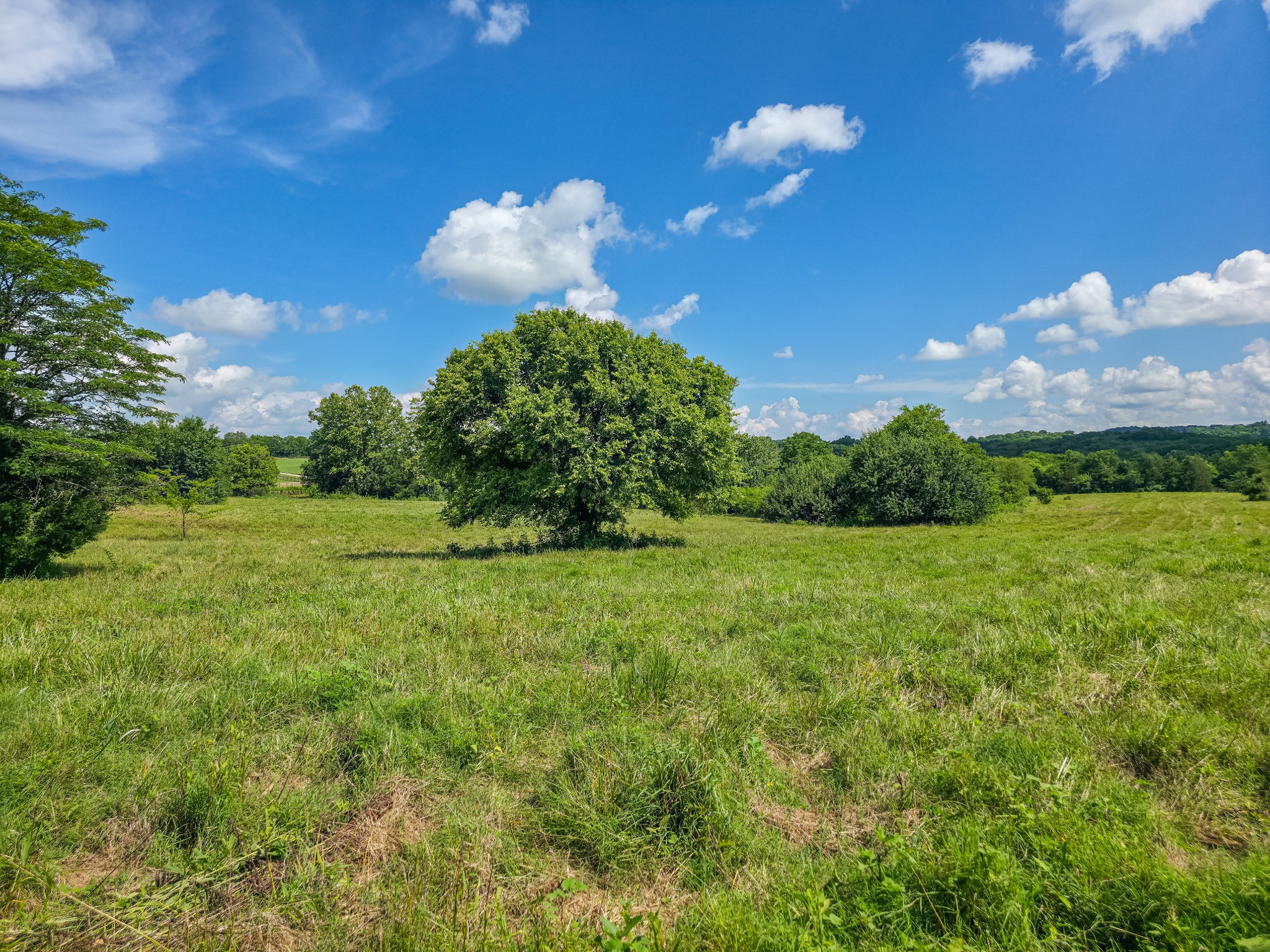Undisclosed Address Columbia, TN 38401 - Photo 11 of 19 a view of a flower garden in a backyard