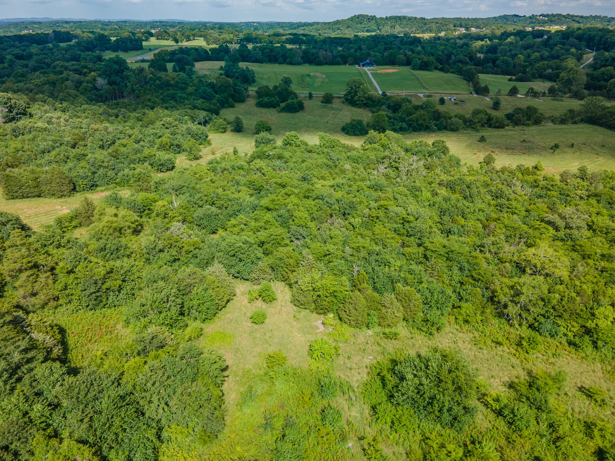 Undisclosed Address Columbia, TN 38401 - Photo 12 of 19 a view of a lush green forest with lots of trees