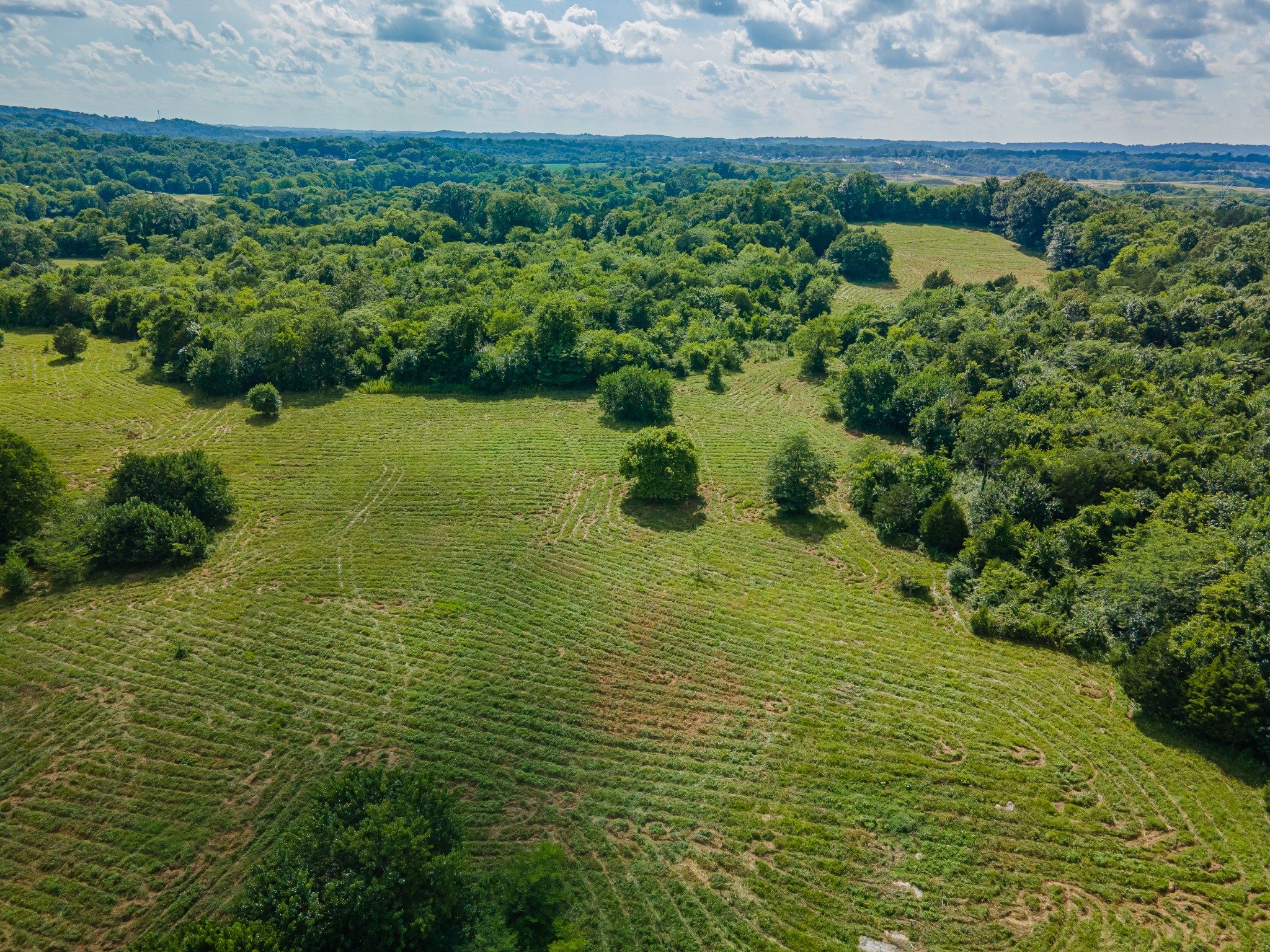 Undisclosed Address Columbia, TN 38401 - Photo 15 of 19 a view of a lake with a yard