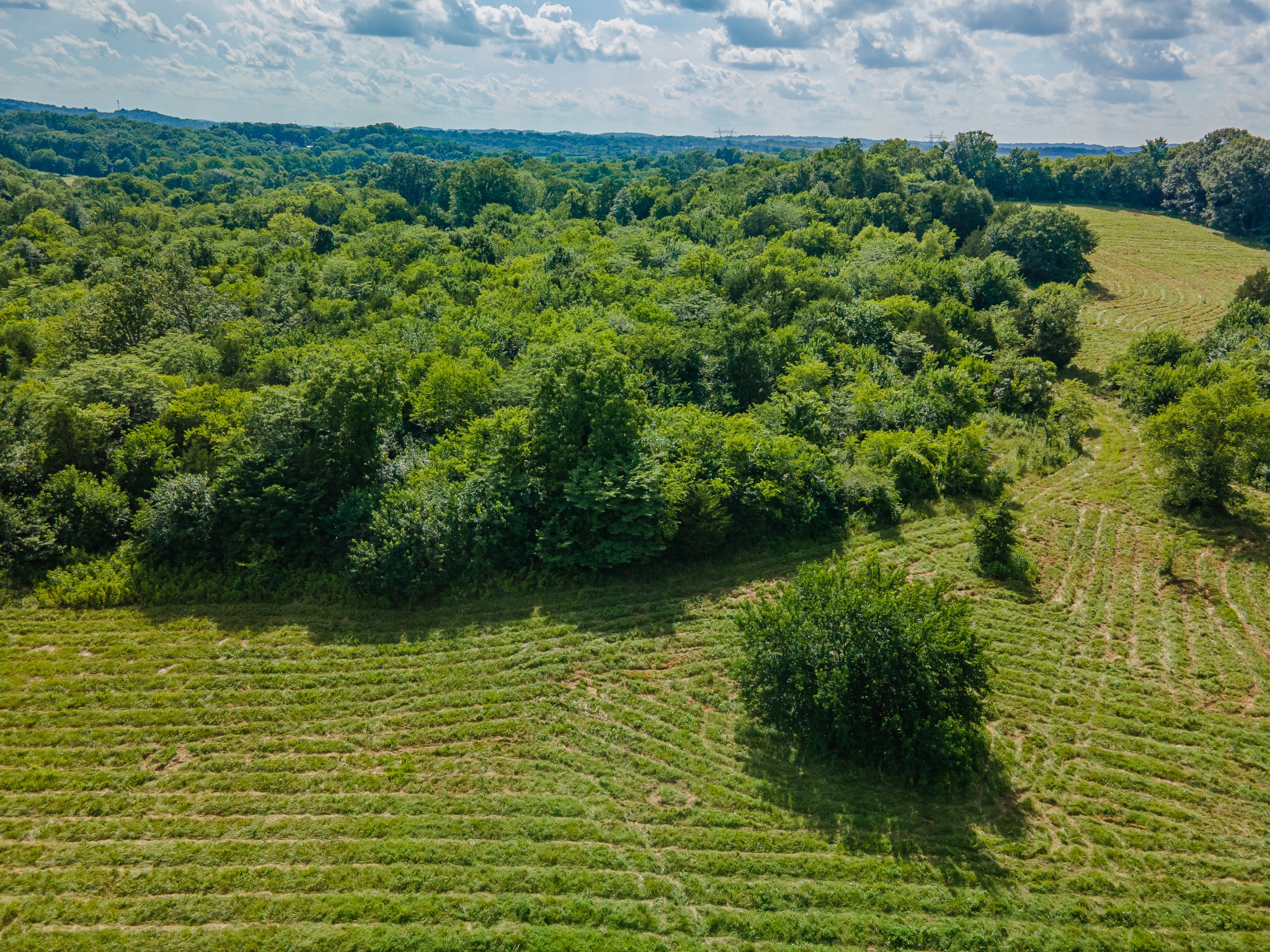 Undisclosed Address Columbia, TN 38401 - Photo 16 of 19